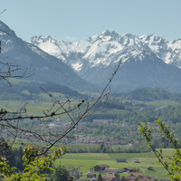 Weinberge am Grünten