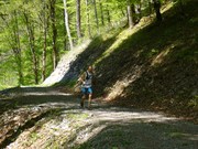 Bizau Trail Lauf