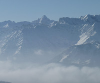 Hochvogel vom Grünten aus gesehen